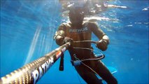 Spearfishing Golden Groupers
