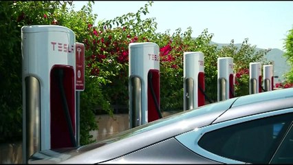 First affordable electric car from Tesla unveiled