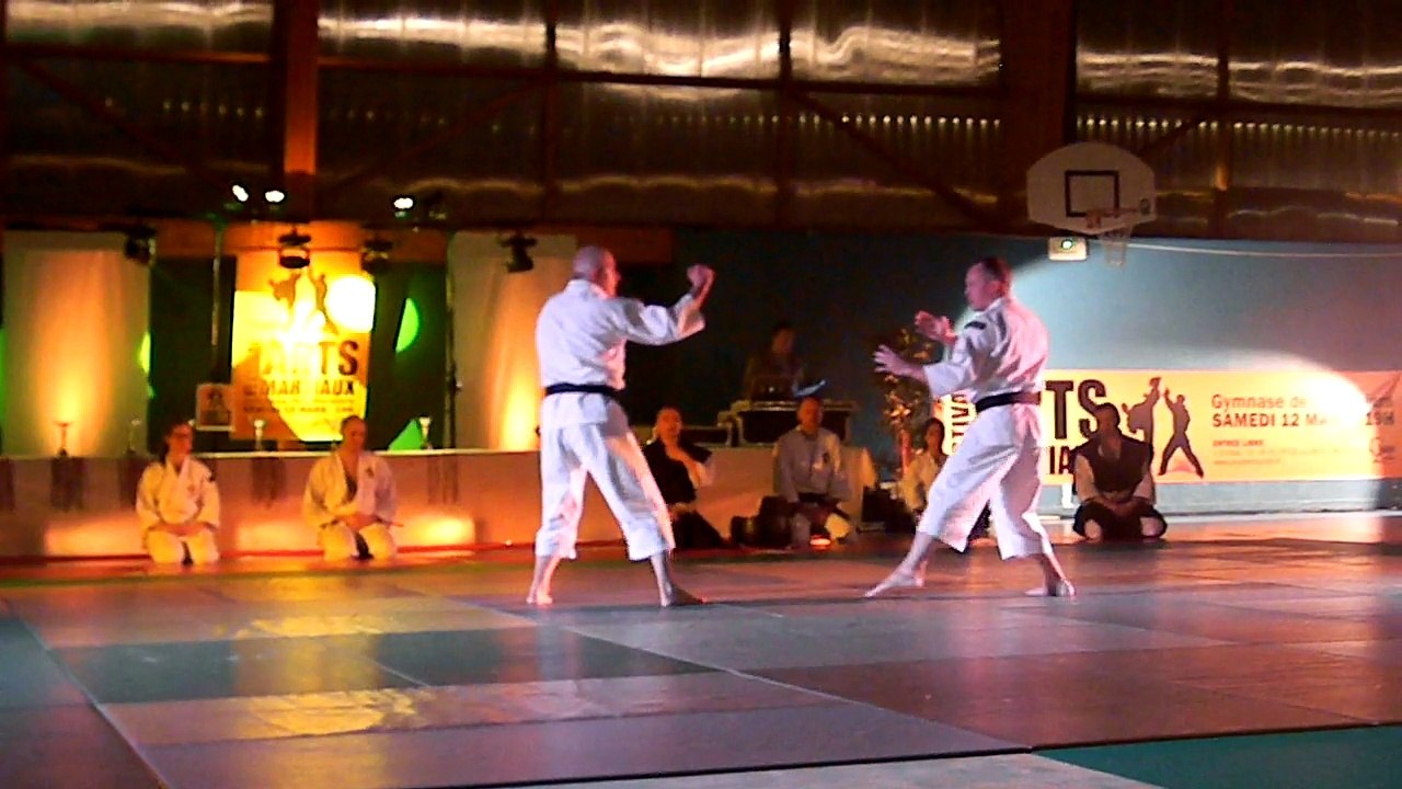 Festival des arts martiaux de Jouy le Moutier 2016