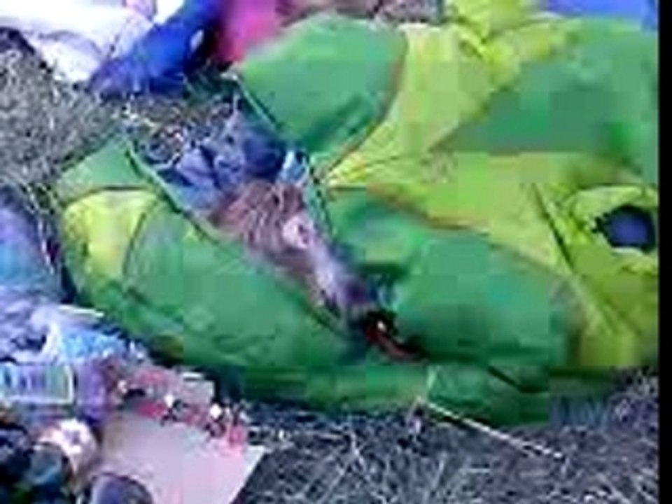 Vidéo-0070