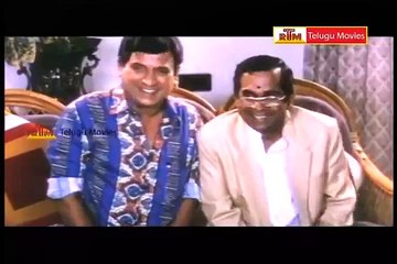 Brahmanandam Best Comedy Scenes Collection - Ayanakiddaru Movie - AVS (FULL HD)