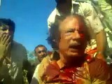 حصري للقذافي أثناء القاء القبض عليه  gaddafi moment before executed