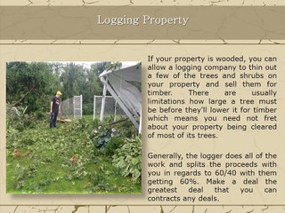Get Profit From Vacant Land Without Selling It