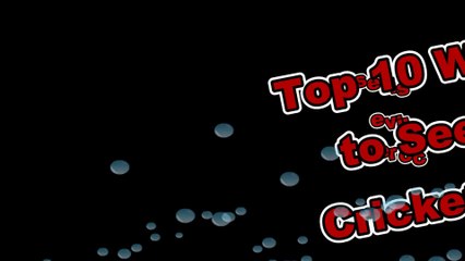 Top 10 Websites to See Live Cricket Updates Scores