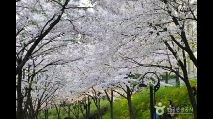 #인계동풀싸롱 한대표 010↙7662↙7948 #기흥풀싸롱