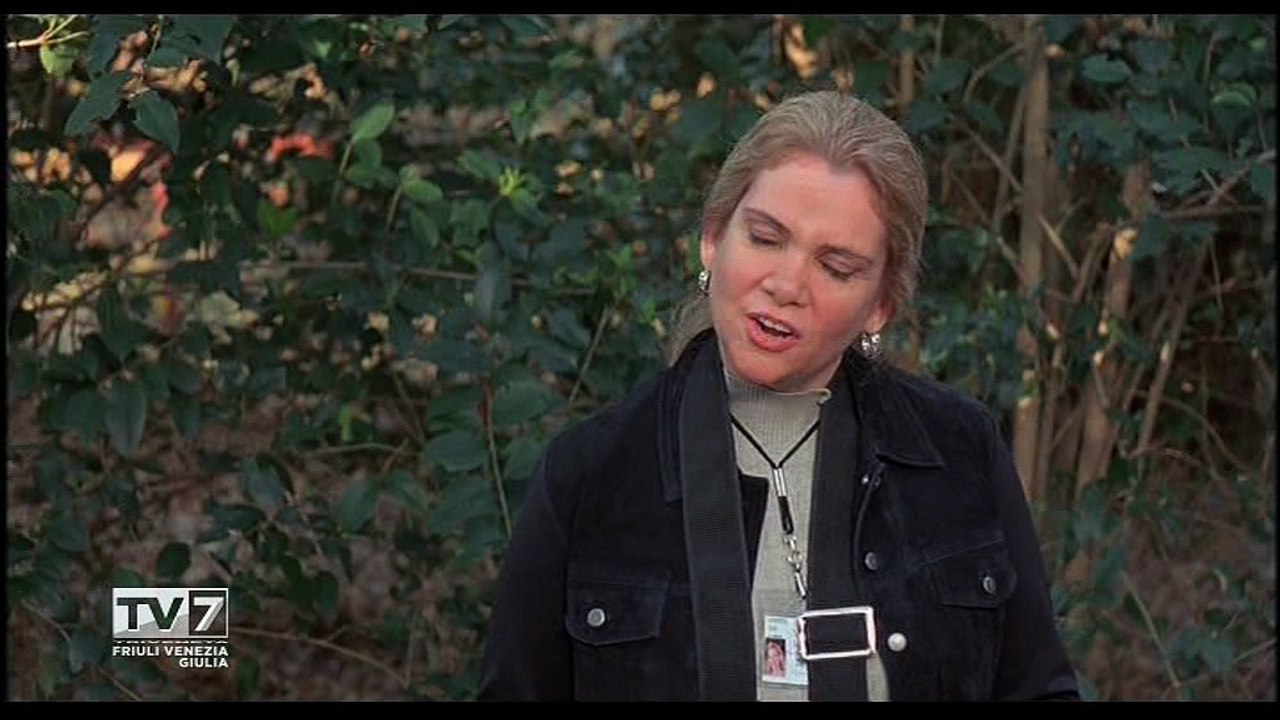 Pezzo Film tv7 TriVeneta !