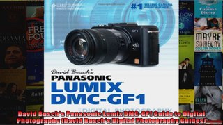 David Buschs Panasonic Lumix DMCGF1 Guide to Digital Photography David Buschs Digital