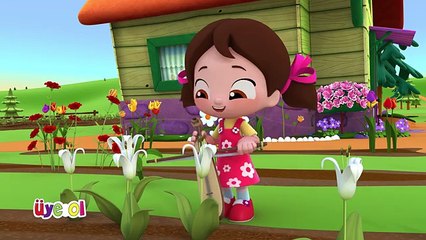 Niloya Şarkıları Niloya nın Bahçesi