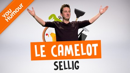 SELLIG - Le Camelot