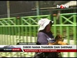 Lahir saat Bom Jakarta, Harimau Diberi Nama Sarinah-Thamrin