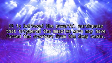 Unexplained And Mysterious Sea Monsters Caught on Tape