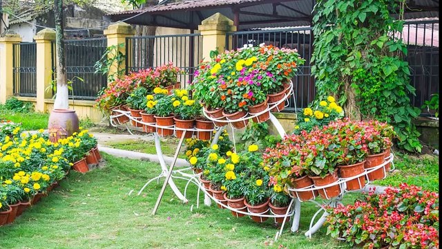 Twin Cities Lawn & Landscape LLC - (419) 572-1289