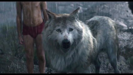 The Jungle Book Movie CLIP - Mowgli Leaves the Pack (2016) - Lupita Nyongo, Ben Kingsley Movie HD