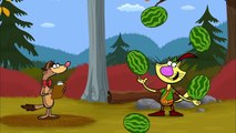 NATURE CAT | The Animal Book of World Records | PBS KIDS
