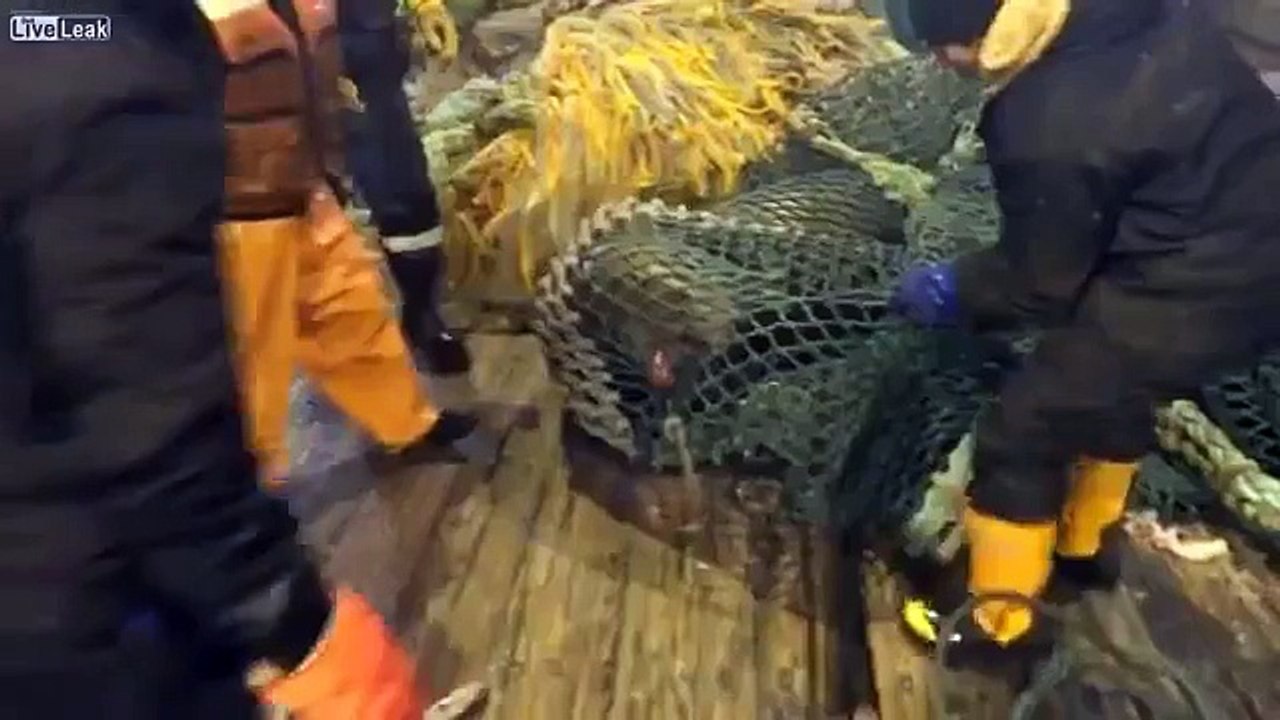 Des pêcheurs attrapent quelque chose dinhabituel qui sème la terreur sur le bateau
