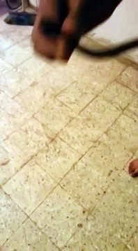 Девушка бы так не испугалась как он