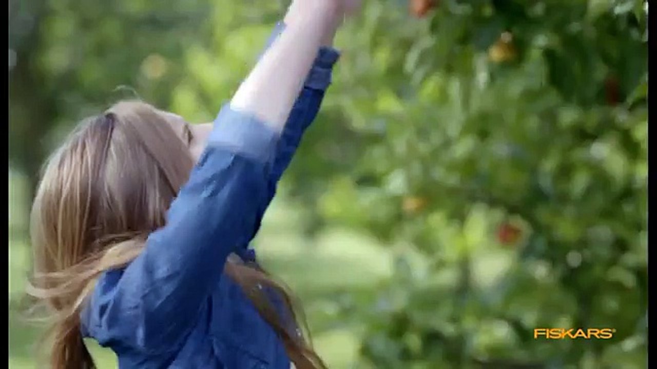 TBWA Finlande pour Fiskars - «Coupe-branche» - avril 2016