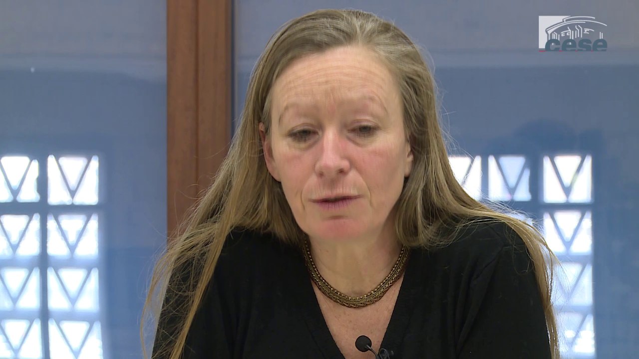 Questions à Marie-Anne DUJARIER, Université Sorbonne-Nouvelle (Paris), chercheure au LISE (UMR CNAM / CNRS)- cese