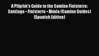 Download A Pilgrim's Guide to the Camino Finisterre: Santiago • Finisterre • Muxía (Camino