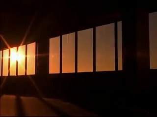 Baby Einstein Shapes Video Collection 2015 13