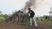 Una gran plantación de marihuana arde en Indonesia