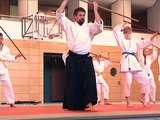Aikido Jo Kata Elements - Aiki-Jo Kata 7 and 13