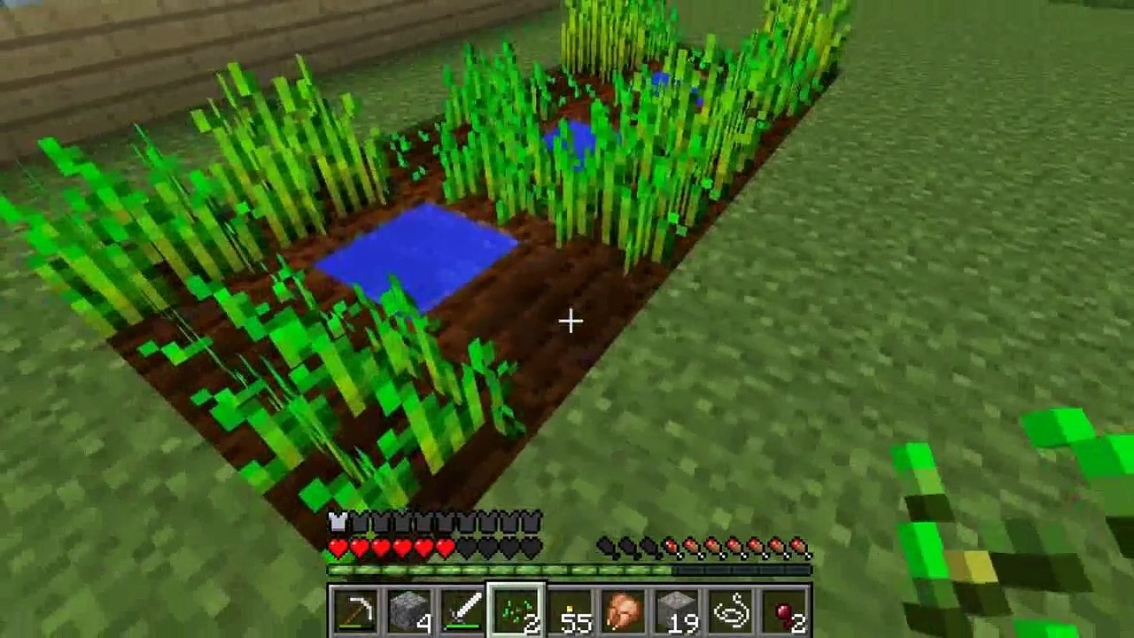 Minecraft #9: Loanh wanh :v