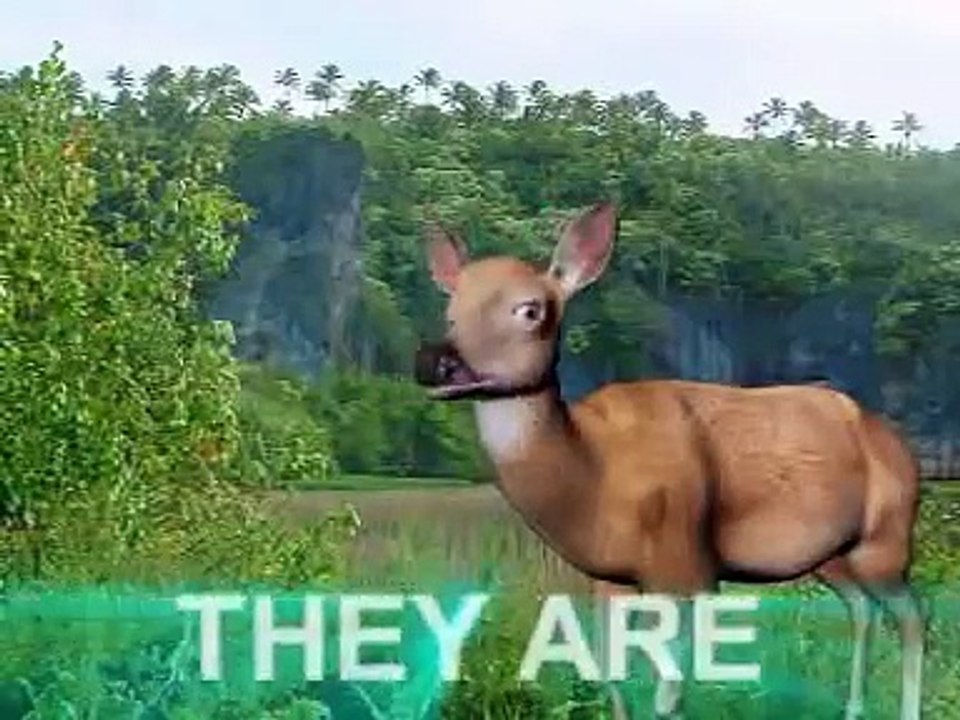 Panchatantra 3D Animation English stories