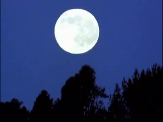 Baby Einstein Shapes Video Collection 2015 54