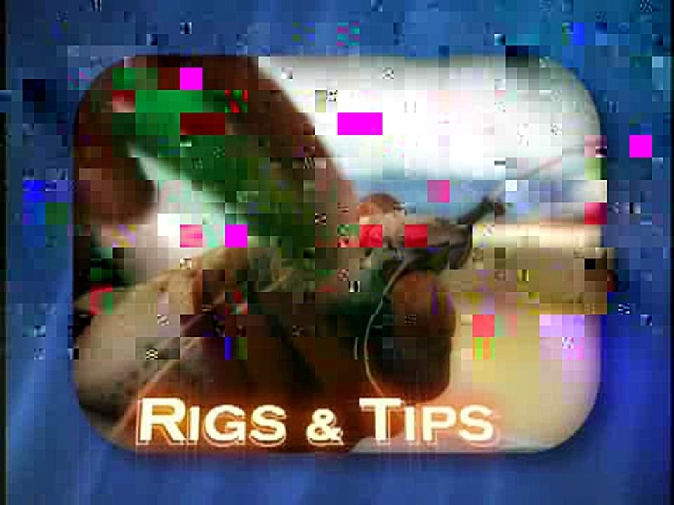 Chum Rigs for Sharks