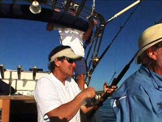 Thresher Shark at Sunset
