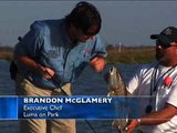 Fly-Rod Redfish