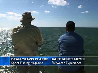 Lemon Shark on the Flats