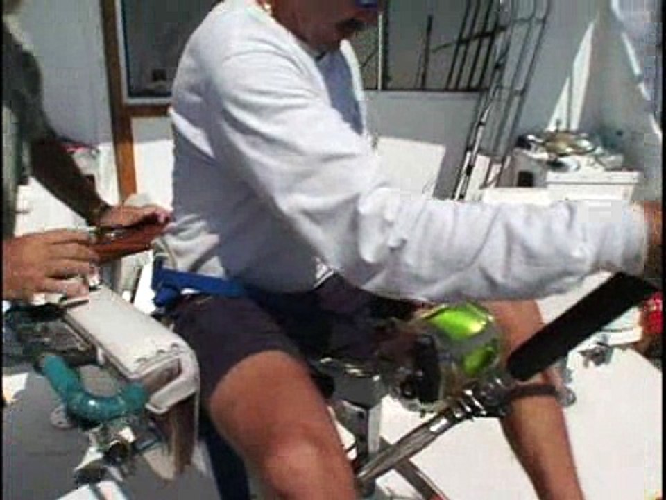 Bermuda Tiger Sharkin' IV