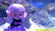 メルちゃん おもちゃアニメ カメさんやカピバラや海の生き物❤水族館 Toy Kids トイキッズ animation anpanman Baby Doll Mellchan