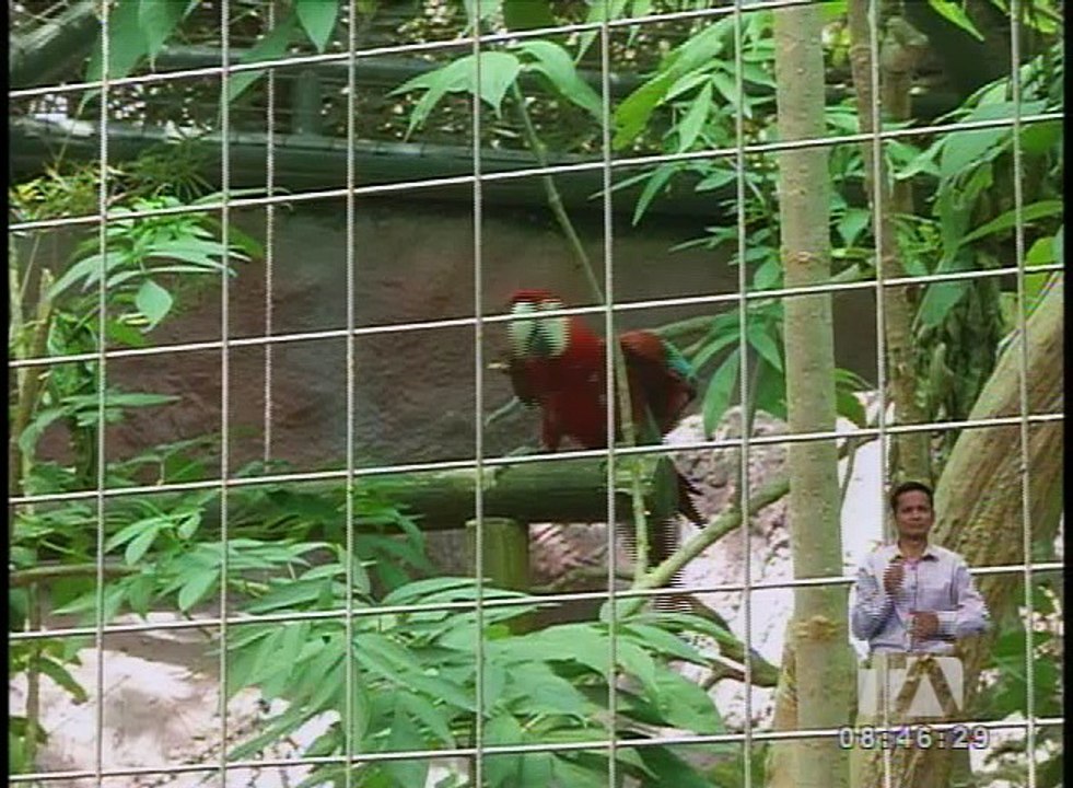 Ballet, fotografía y teatro para este fin de semana