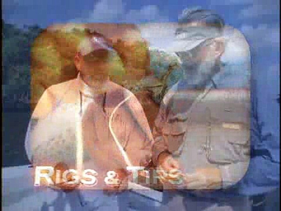 Goliath Grouper Rigs