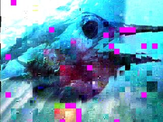 Guy Harvey and Bill Boyce Offshore