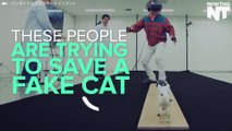 Intense VR Game Challenges You To Save A Cat From A Ledge