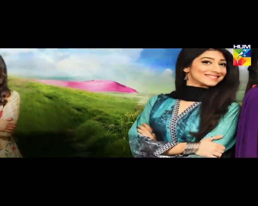 Haya Kay Daman Main Episode 4 HUM TV Drama Promo