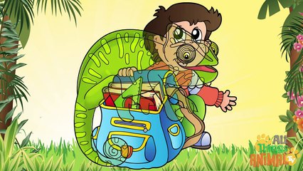 CHAMELEONS- Animals for children. Kids videos. Kindergarten - Preschool learning