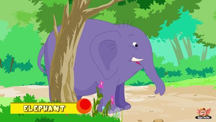 Animal Facts in Hindi - Elephant