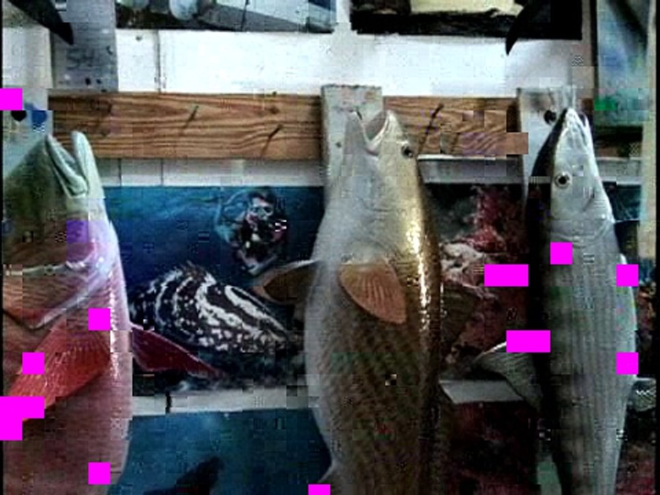 Replica Fish Mounts