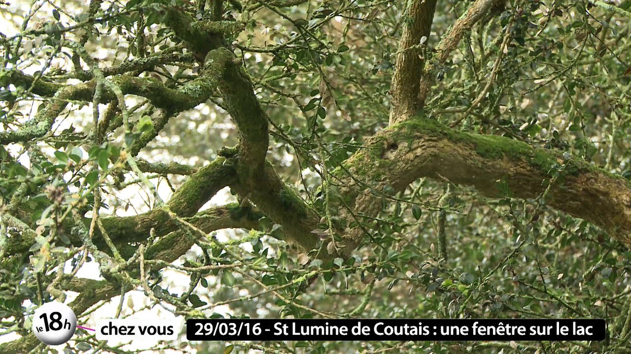 Le 18h chez vous à Saint-Lumine de Coutais