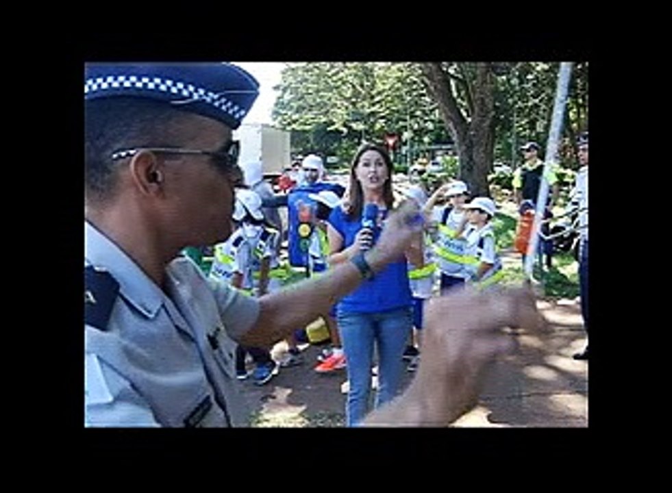 DÊ A MÃO À VIDA