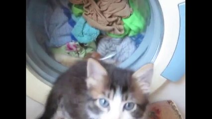 Самые смешные приколы про. Подборка январь 2016 Часть 11