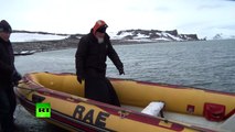 Patriarch meets penguins in Antarctic: Kirill strolls South Pole shores