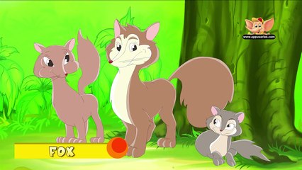 Animal Facts in Hindi - Fox