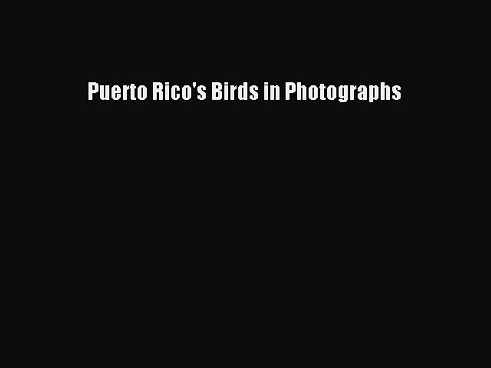 Read Puerto Rico's Birds in Photographs Ebook Free