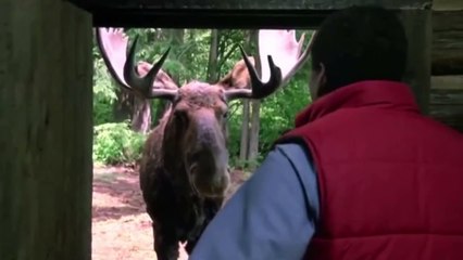 Приколы из фильмов - Лучшие coub #9